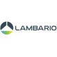 LAMBARIO